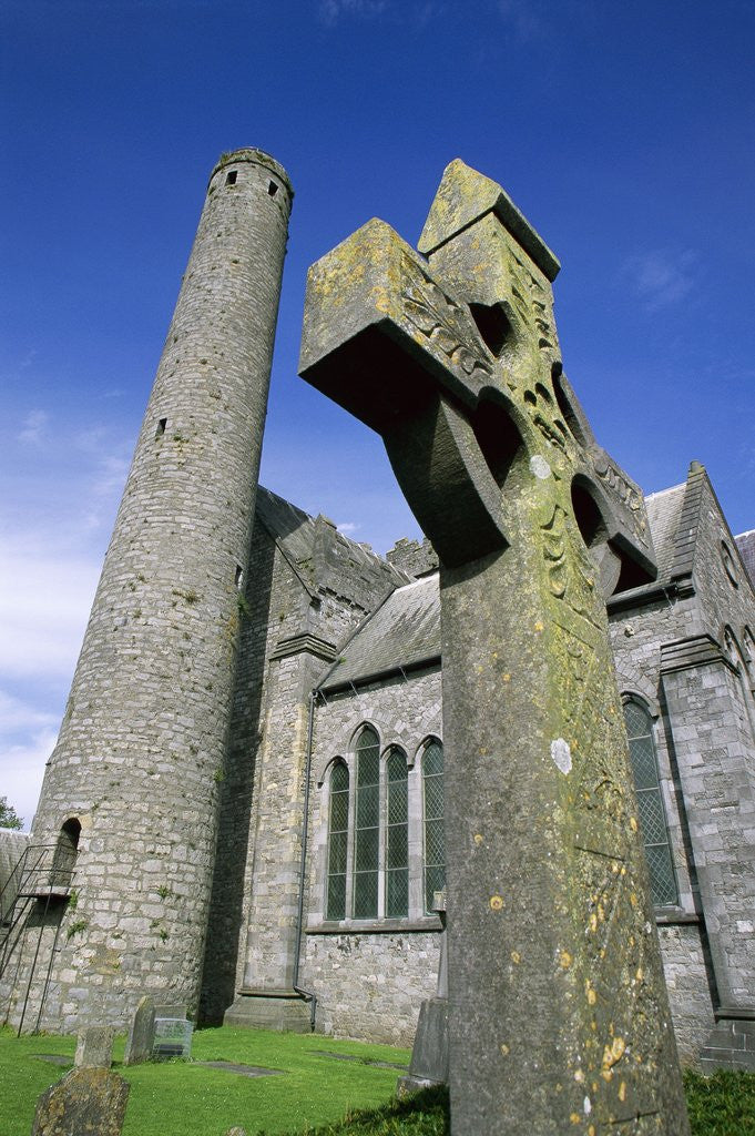 Detail of St. Canice's Cathedral and Round Tower by Anonymous