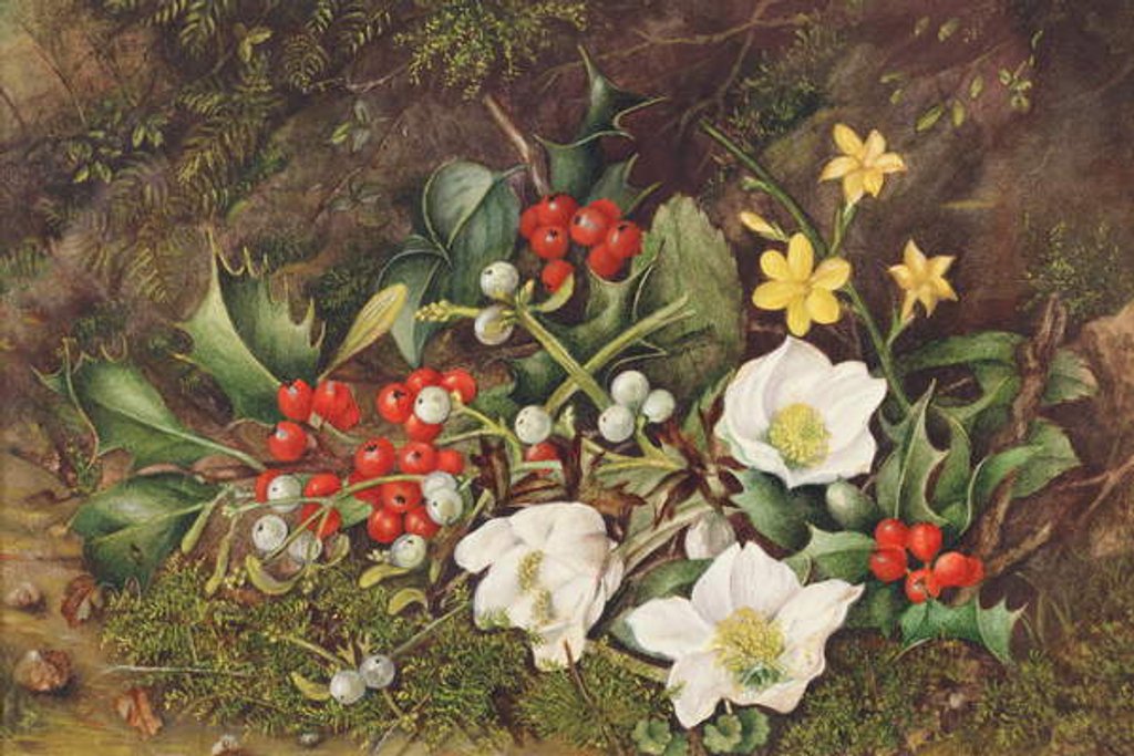 Detail of Holly and Christmas Roses by Jane Taylor