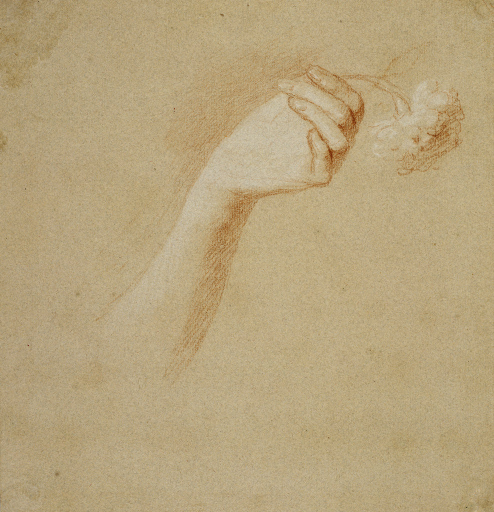 Detail of A Lady's Left Hand, Holding a Rose. Study for the Painting 'The Artist's Wife: Margaret Lindsay of Evelick' by Allan Ramsay