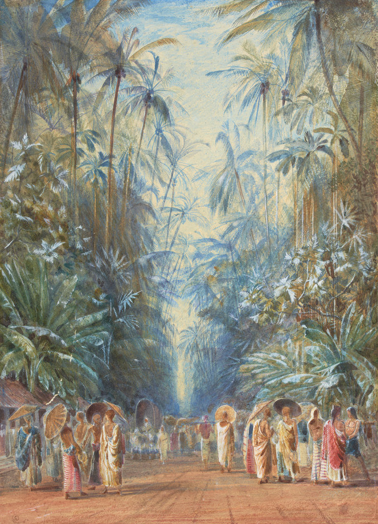 Detail of Road near Galle, Ceylon by Edward Lear