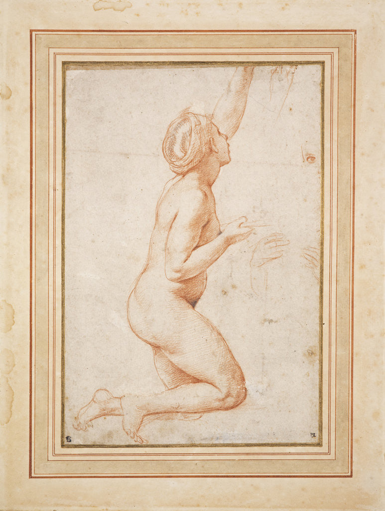 Detail of A Kneeling Nude Woman with her Left Arm Raised by Raphael (Raffaello Santi)
