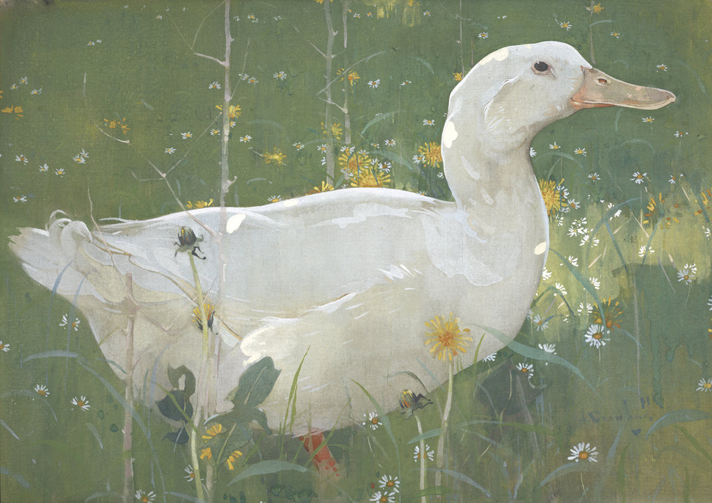Detail of The White Drake by Joseph Crawhall