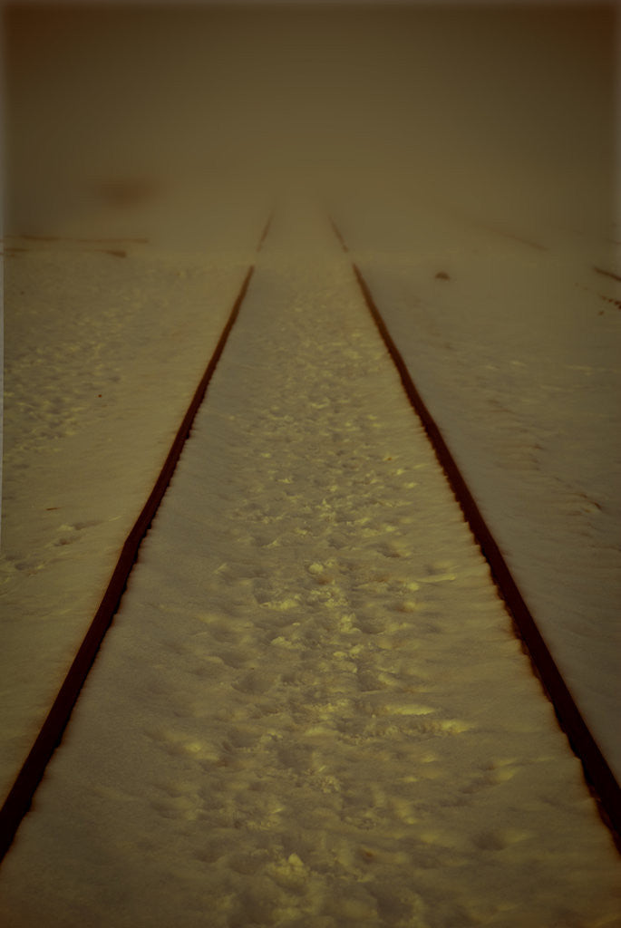 Detail of Road to nowhere by Ricardo Demurez