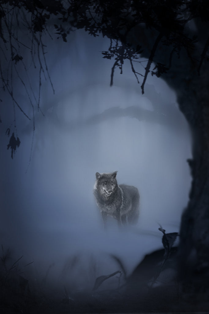 Detail of wolfnight by Alexandra Stanek
