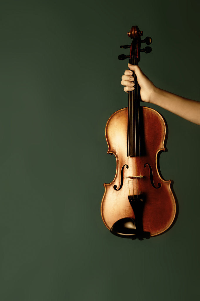 Detail of Violin in her hand by Ricardo Demurez