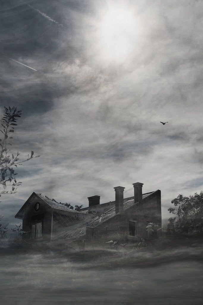 Detail of deserted house by Alexandra Stanek