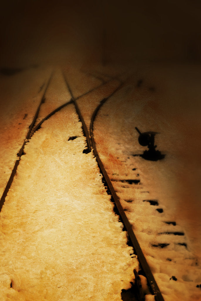 Detail of Winter railroad by Ricardo Demurez