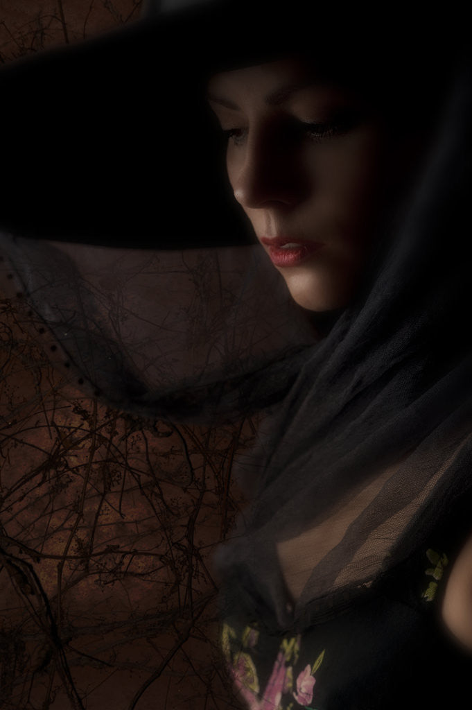 Detail of Woman in mourning by Ricardo Demurez