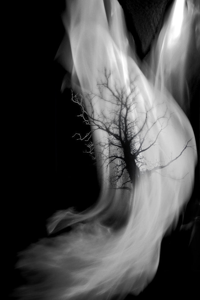 Detail of elements by Alexandra Stanek