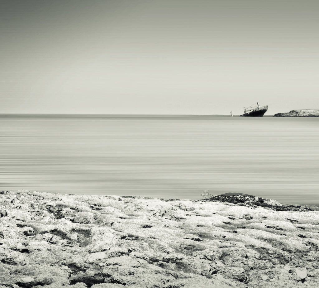 Detail of Sepia Sea by Eugenia Kyriakopoulou