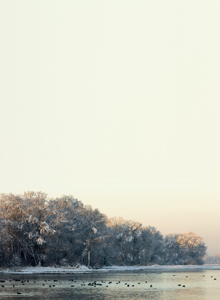 Detail of lake2 by Wolfgang Simlinger