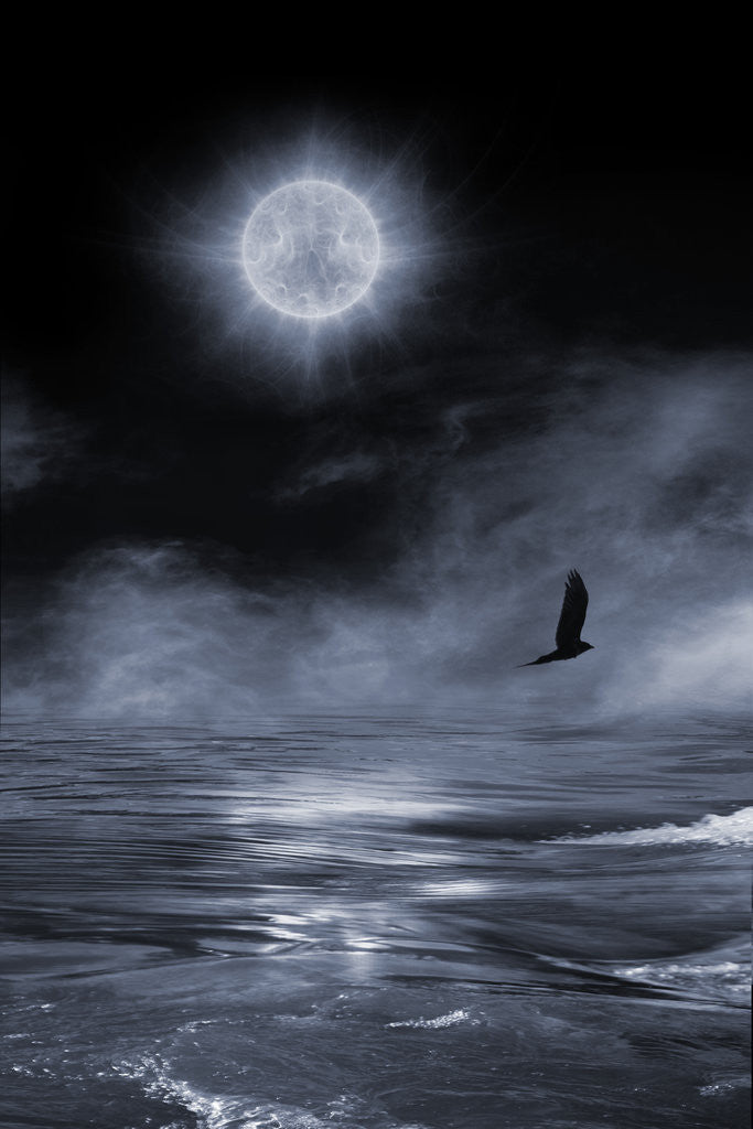 Detail of strange moon by Alexandra Stanek