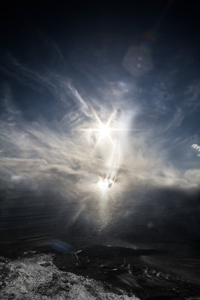 Detail of out of nowhere by Alexandra Stanek