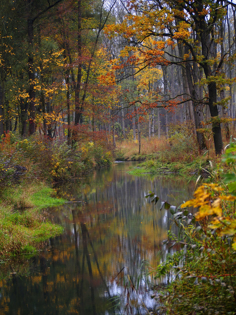 Detail of fall by Wolfgang Simlinger