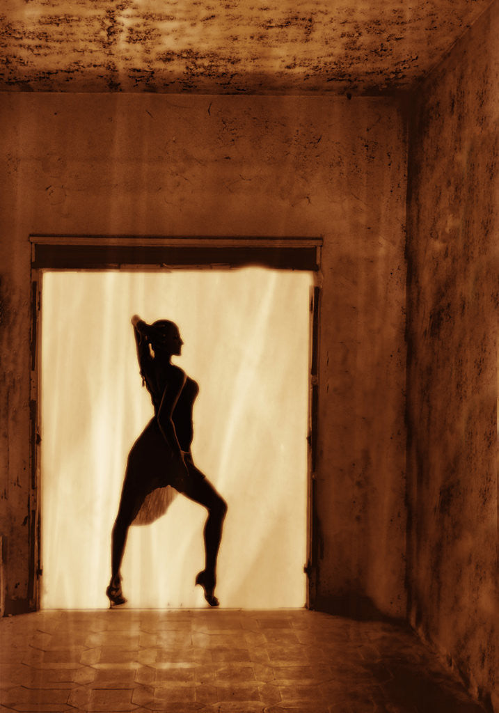 Detail of Dancer at the window II by Eugenia Kyriakopoulou