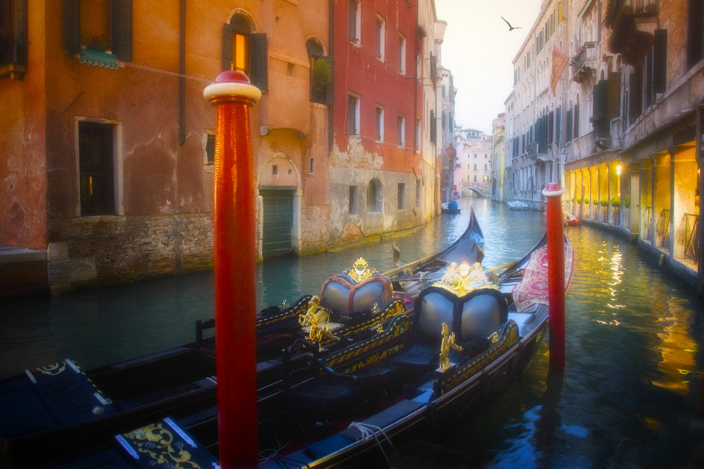 Detail of A Grand Ride, Venice by Dee Smart