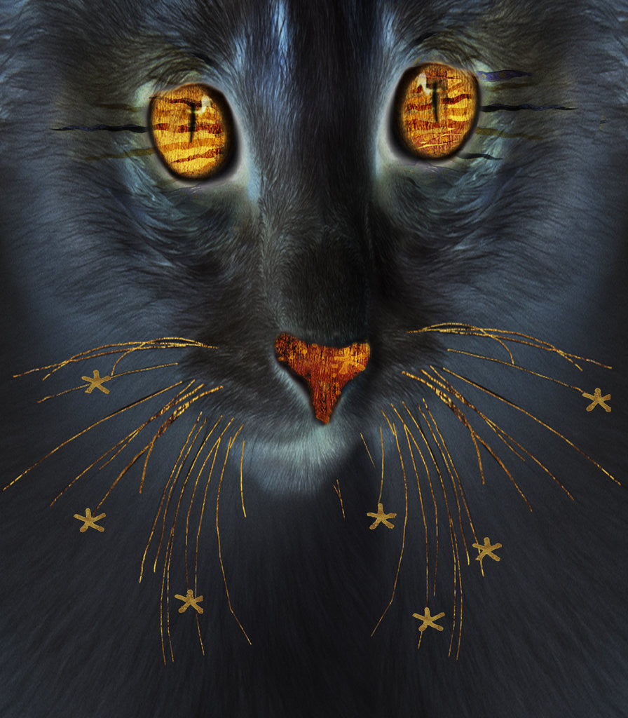 Detail of Cosmic Cat by Dee Smart