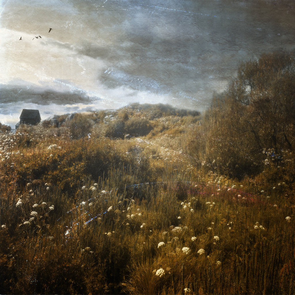 Detail of Enchanted Hillside by Dee Smart