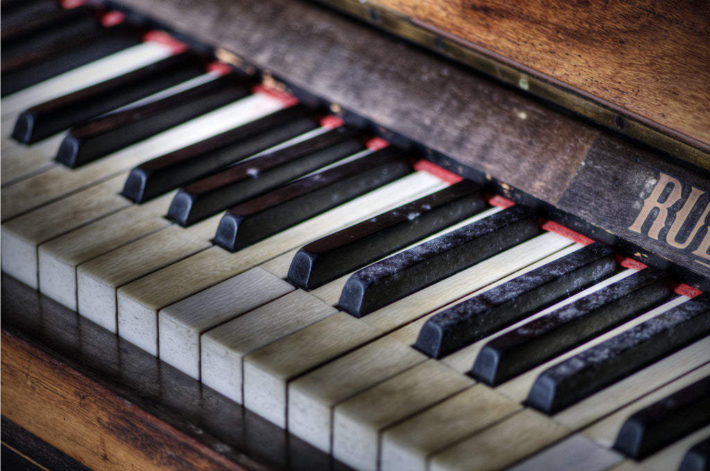 Detail of Piano keys by Stuart Brill