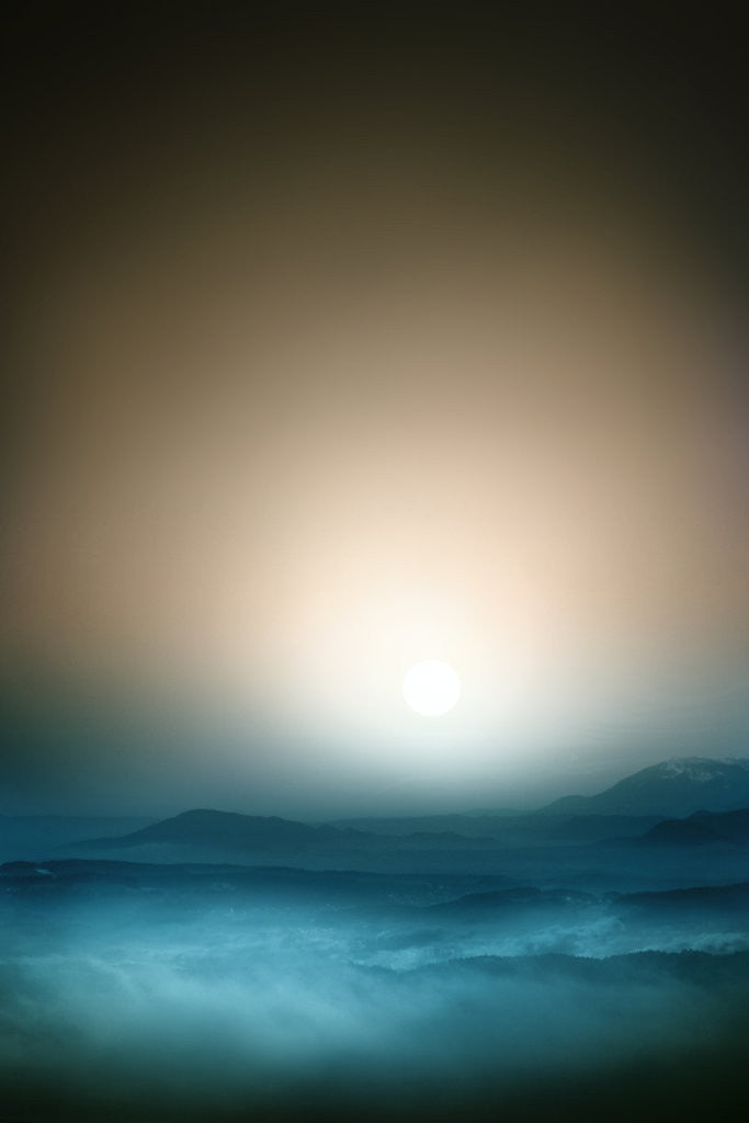 Detail of new morning by Alexandra Stanek