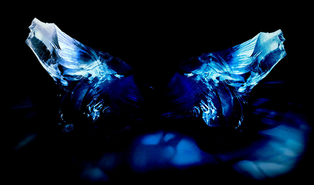 Detail of butterfly by Alexandra Stanek