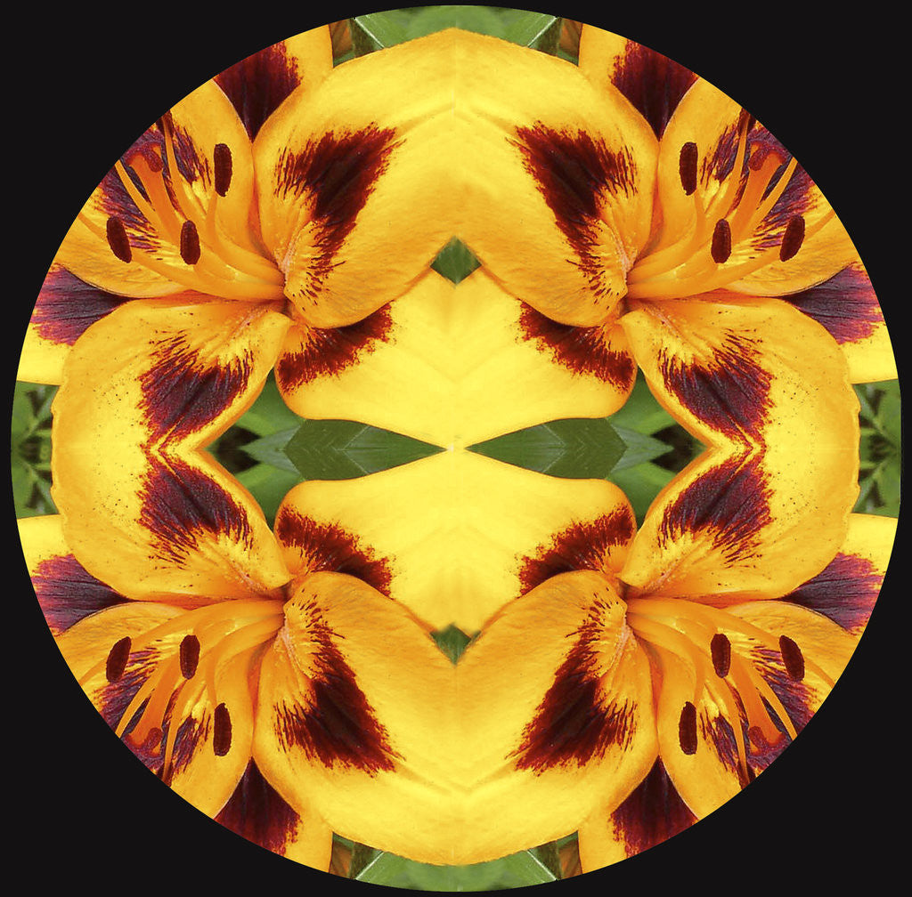 Detail of Kaleidoscope_1 by Linda Mann