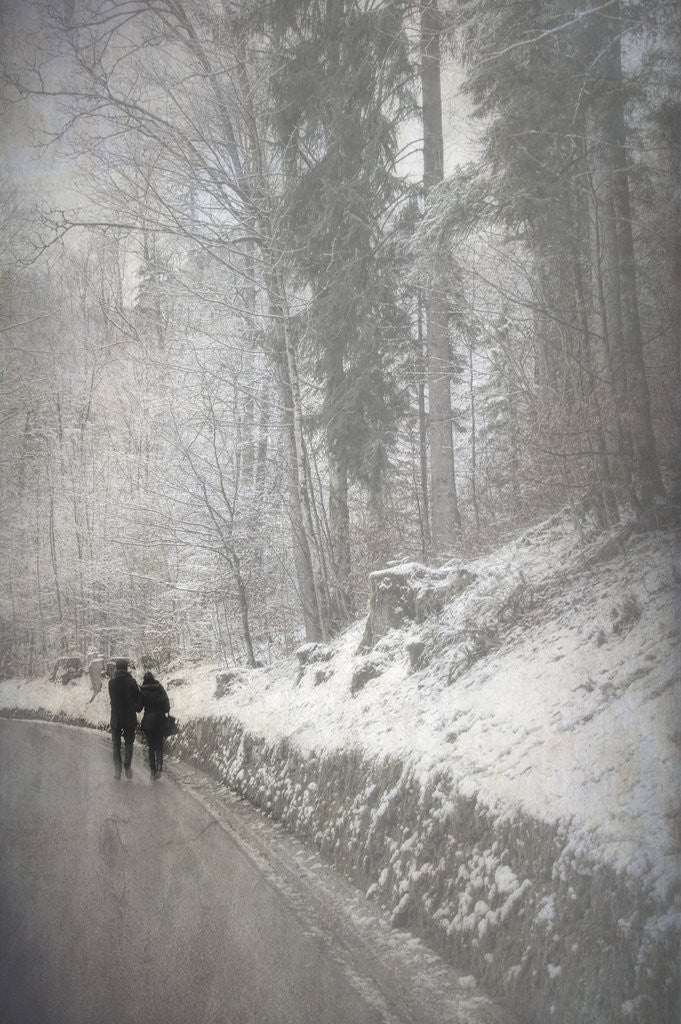 Detail of Two in winter by Eugenia Kyriakopoulou
