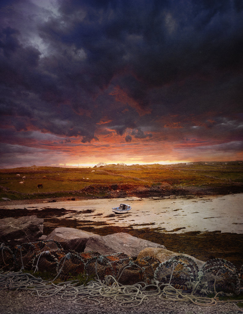 Detail of Morning, Ireland by Dee Smart