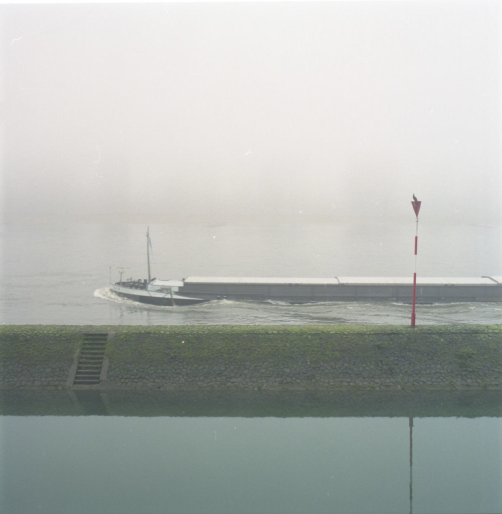 Detail of Fog in Dusseldorf 2 by Eva Sauer