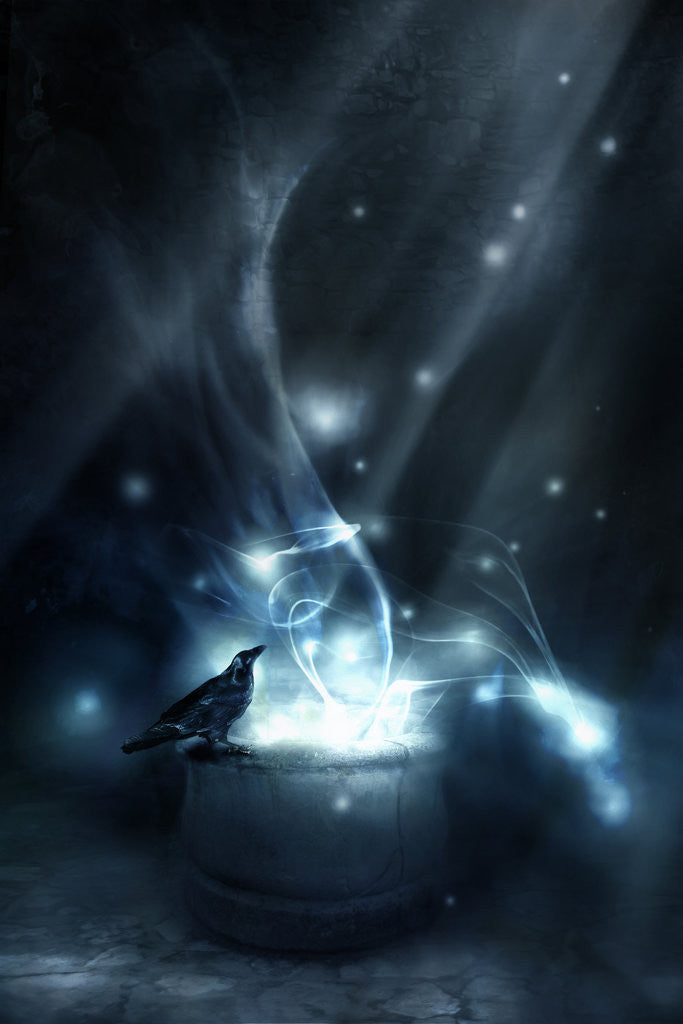 Detail of fascinating thing by Alexandra Stanek