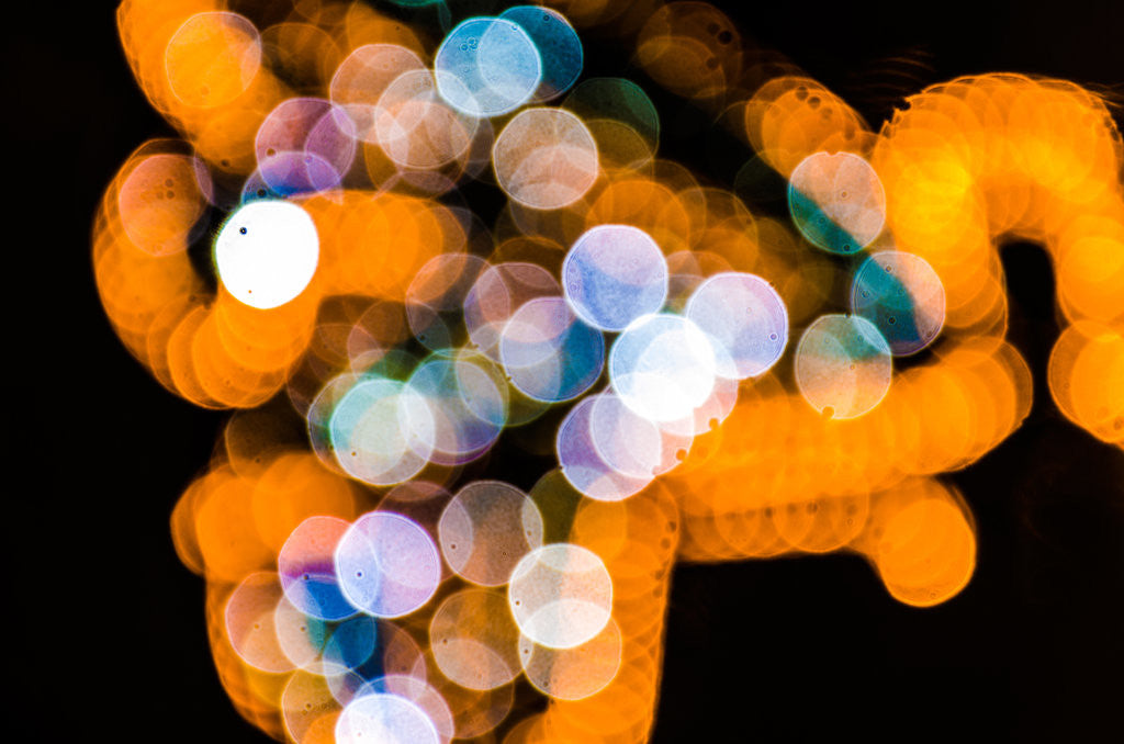 Detail of In the night what's going on by Katarzyna Kuban