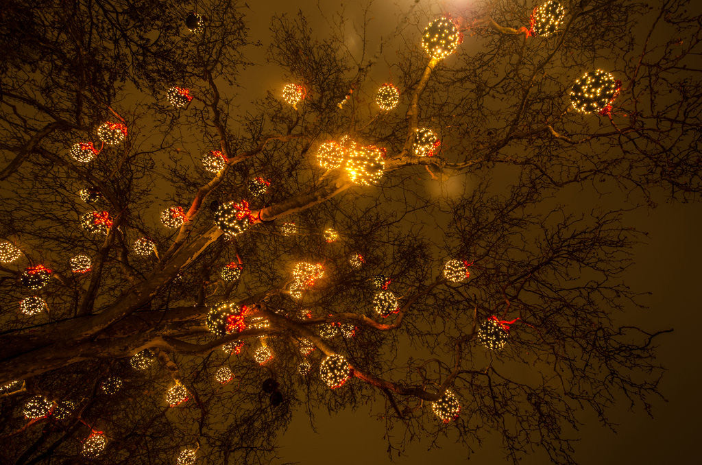 Detail of the bright lights by Katarzyna Kuban