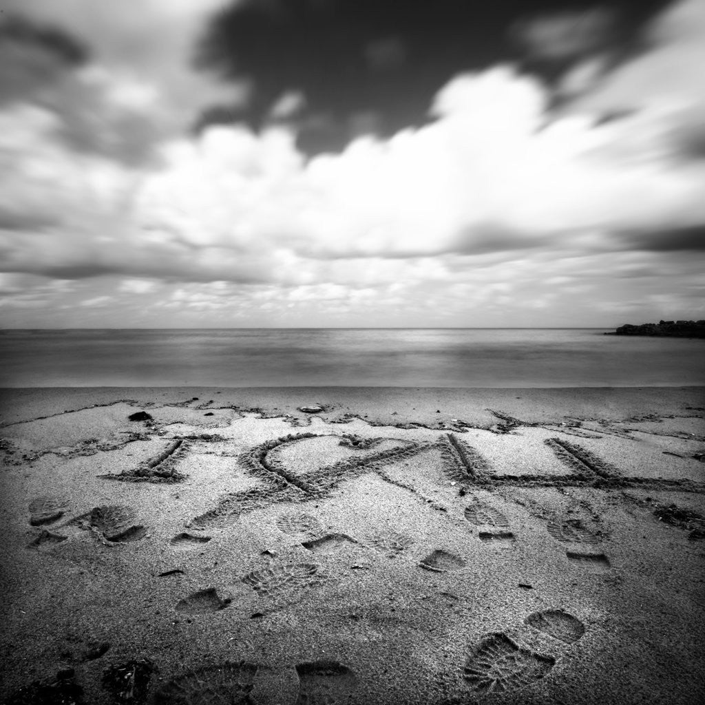 Detail of I love you by Richard Sammour