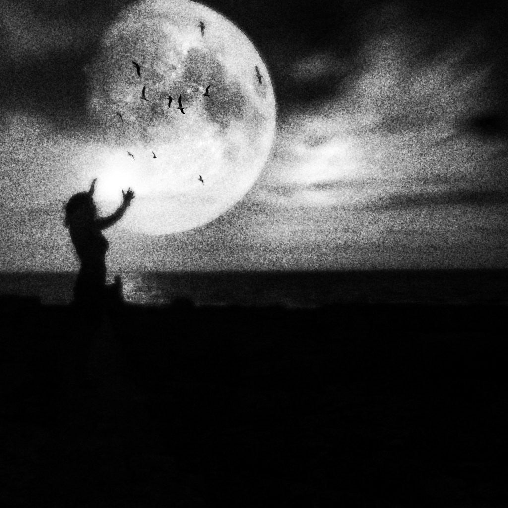 Detail of I was beautiful by Richard Sammour