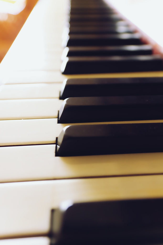Detail of Piano keys by Phil Payne