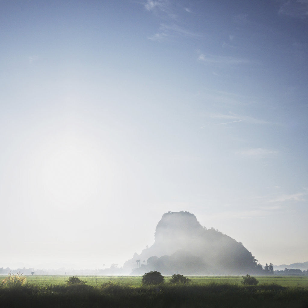 Detail of Sunrise in Kedah by Vin Tew