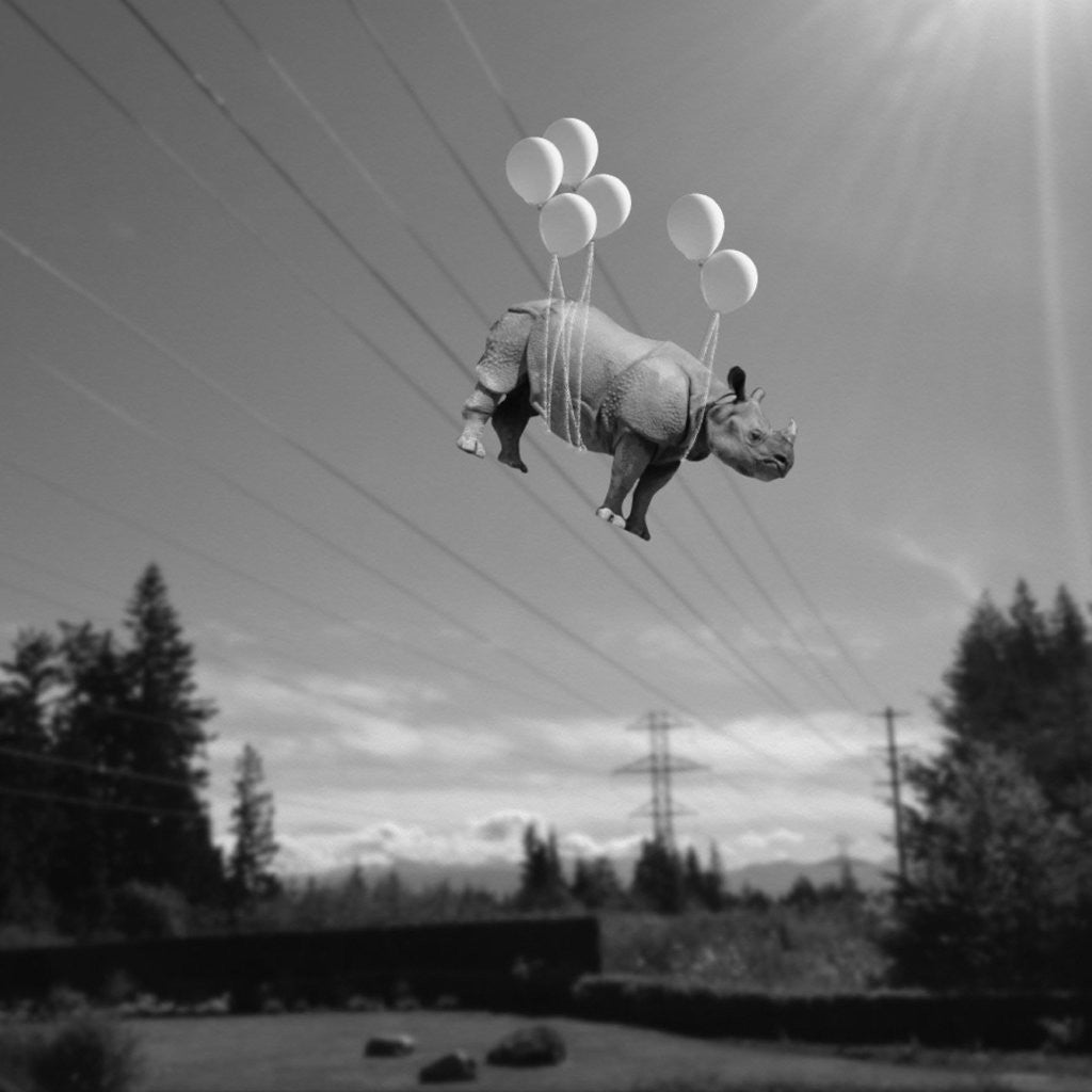 Detail of Electric feel by Janine Graf