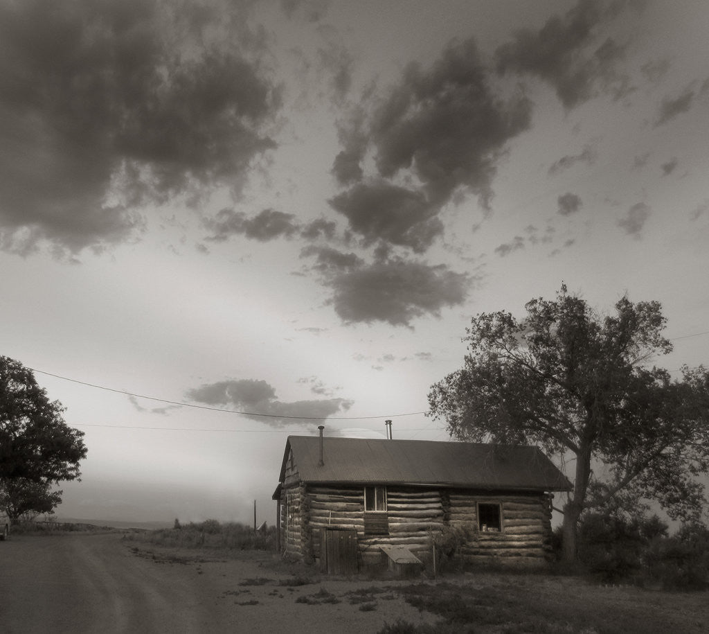 Detail of Log cabin by Gary Waters