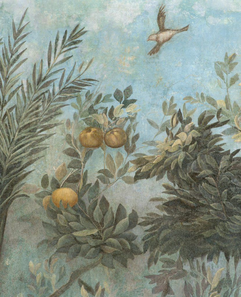 Detail of Detail Showing Scene from Roman Fresco of Tree with Birds by Anonymous