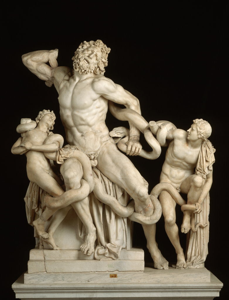 Detail of The Laocoon Group by Anonymous