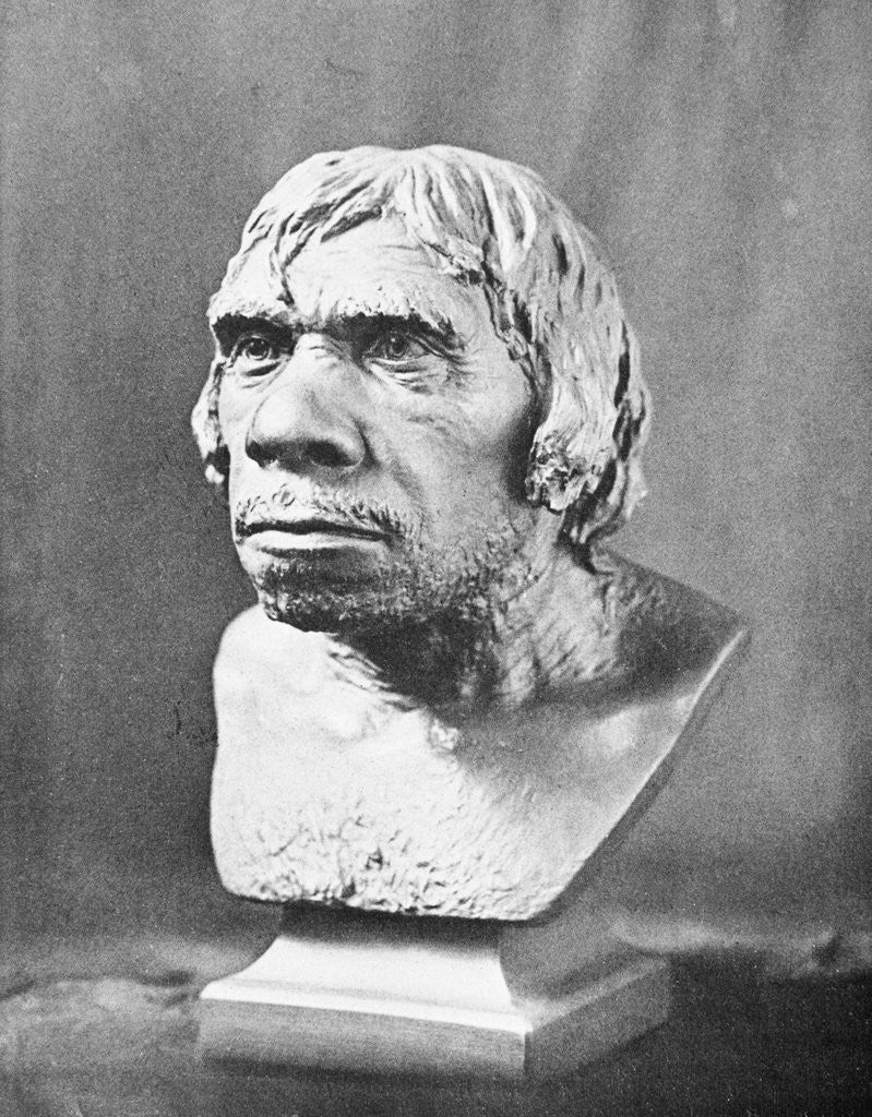 Detail of Bust of Prehistoric Man by Anonymous
