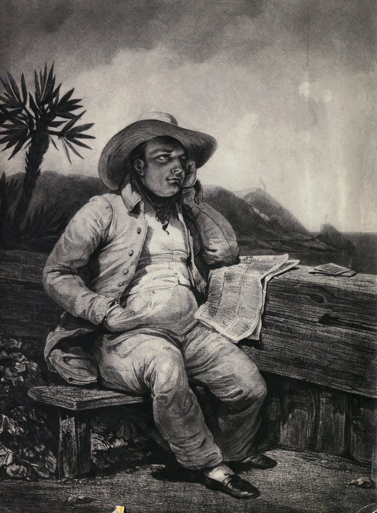Detail of Napoleon Resting on St. Helena by Anonymous