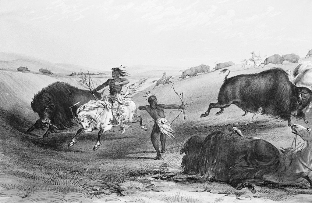 Detail of Indians Killing Buffalos by Anonymous