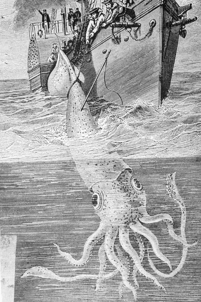 Detail of Illustration of the Crew of the Alecton Attempting to Catch a Giant Squid by Anonymous
