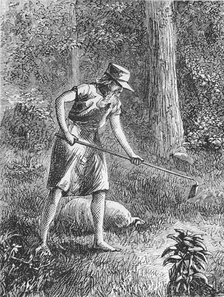 Detail of Johnny Appleseed Planting Apple Seeds in Wilderness by Corbis