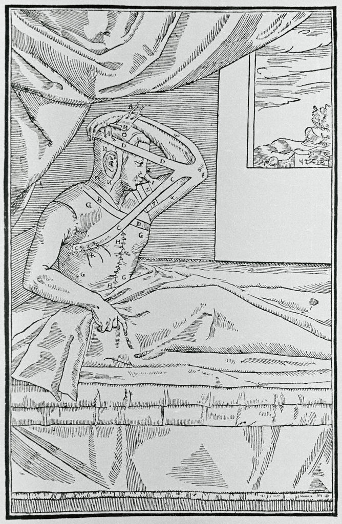 Detail of Patient with Nose Surgery by Anonymous