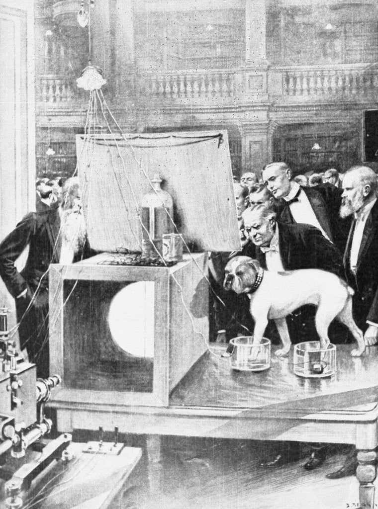 Detail of Dog Being Experimented on by Scientist by Anonymous