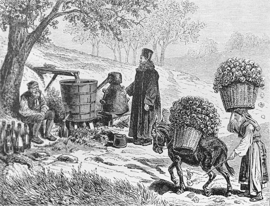 Detail of Distilling of Roses by Anonymous