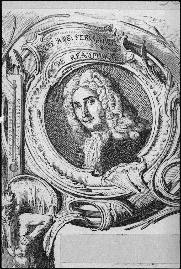 Detail of Rene Ant. Ferchault de Reaumur Print by Anonymous