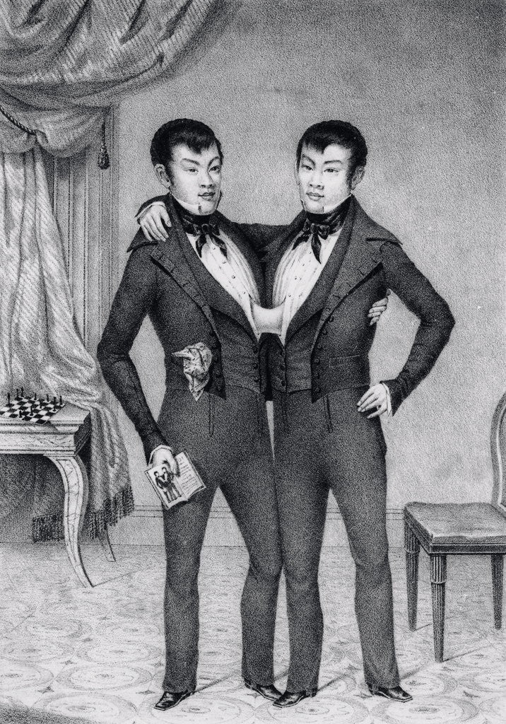 Detail of Depiction of Asian Siamese by Anonymous